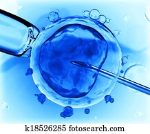 Artificial insemination