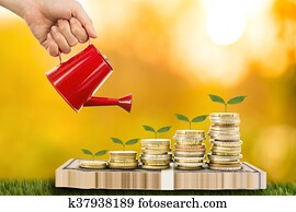 Can pouring with growing money plant