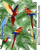 Parrot bird Parrot bird