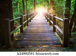 perspectiva, de, madeira, ponte, em, profundo, floresta, cruzamento, água, fluxo