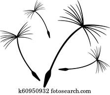 maslacak dandelion 00 maslacak dandelion 00