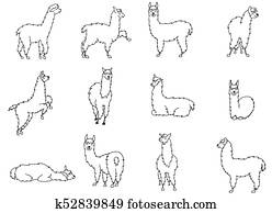 vetorial, jogo, de, characters., ilustração, de, sul, americas, cute, lama, com, decorations., isolado, esboço, caricatura, bebê, llama., mão, desenhado, peru, animal, guanaco, alpaca, vicuna., desenho, para, impressão, fabric.