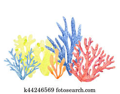 Watercolor coral composition Watercolor coral composition