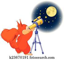 Squirrel astronomer Squirrel astronomer