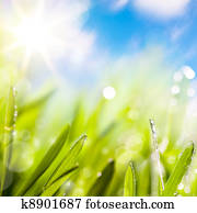 abstracts of natural spring green background