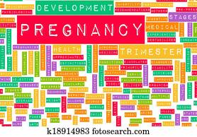 Pregnancy Pregnancy
