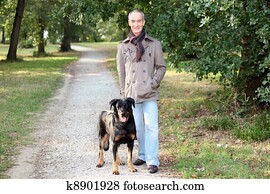 älterer mann, gehende, seine, hund, in, dass, wälder