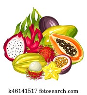 Exotic tropical fruits collection. Illustration of asian plants Exotic tropical fruits collection. Illustration of asian plants