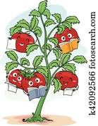 mascote, planta tomate, classe
