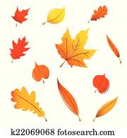 Miscellaneous fall leaves Miscellaneous fall leaves