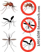 mosquito,, יתושים, (culex)