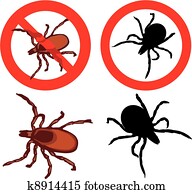 תקתק, -, יקסודאס, scapularis