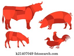 Beef meat Beef meat