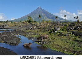 Mount Mayon Volcano Mount Mayon Volcano