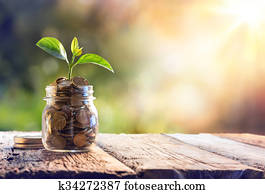 Plant Growing In Savings Coins