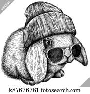 לבן שחור, חרות, הפרד, שפן, וקטור, דוגמה