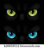 Cats eyes Cats eyes