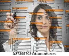Database software development Database software development