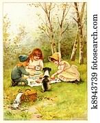 Picnic Picnic