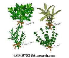 Scarborough Fair Herbs Scarborough Fair Herbs
