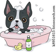 Dog Bath