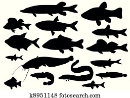 Fish Fish