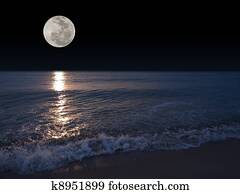 Full moon Full moon