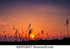 Marsh Sunset Marsh Sunset