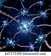 Neuron Active Cells Neuron Active Cells