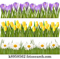 טרי, קפוץ, ו, פרוח, גבולות