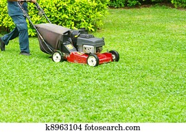 mowing the lawn mowing the lawn