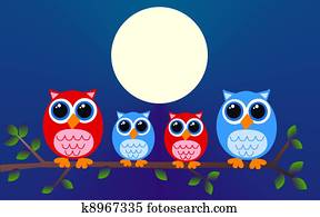 owl family owl family
