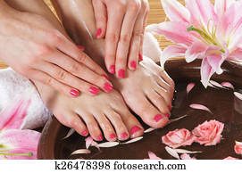 Fleurs Et Jardins Jambes Fleurs Et Jardins Jambes