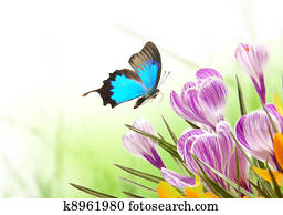Spring background Spring background
