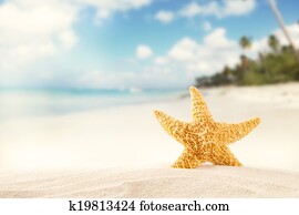 Summer beach with strafish Summer beach with strafish