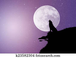 wolf in th moonlight wolf in th moonlight