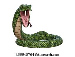 3D Rendering Giant Fantasy Snake on White 3D Rendering Giant Fantasy Snake on White