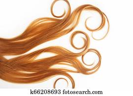 Curls Curled On The Curling Iron Isolated On White Background
