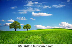 Green field in spring Green field in spring