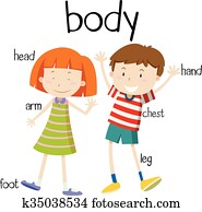 Human body parts diagram Human body parts diagram