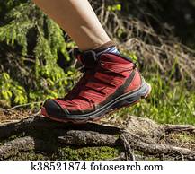 Walkin on a rough terrain