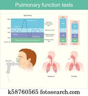 של הריאות, תפקד, tests., לבחון, ל, נפח, של, הבלט, ב, ה, ריאות, במשך, נשום ב, ו, לנשוף, fully.
