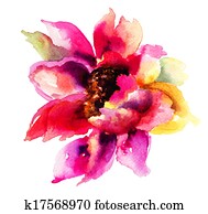 Beautiful Pink flower Beautiful Pink flower