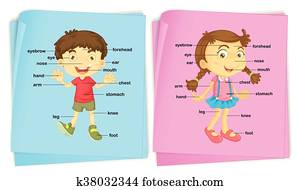 Boy and girl with different body parts Boy and girl with different body parts