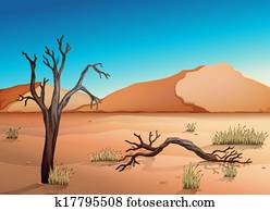 ecossistema, deserto