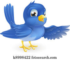Bluebird pointing Bluebird pointing