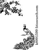 Peacock Peacock