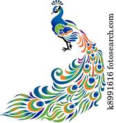 Peacock Peacock