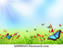 Spring background Spring background