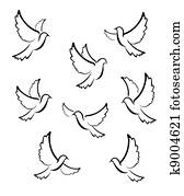 dove Vector dove Vector